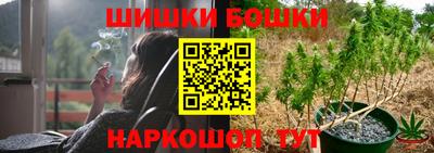 индика Абакан